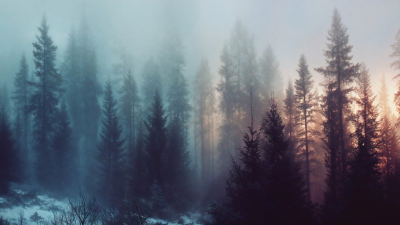enchanting wallpaper, surreal, mist, background for desktop wallpaper (horizontal)