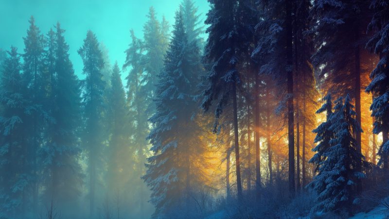 dramatic lighting wallpaper, golden color, radiant glow, background for desktop wallpaper (horizontal)