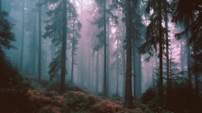 serene environment wallpaper, dreamcore, pastel aesthetic, background for desktop wallpaper