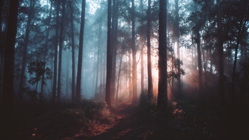 imaginative imagery wallpaper, serene environment, dreamcore, background for desktop wallpaper