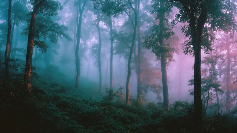 haunting beauty wallpaper, soft light, atmospheric landscape, background for desktop wallpaper