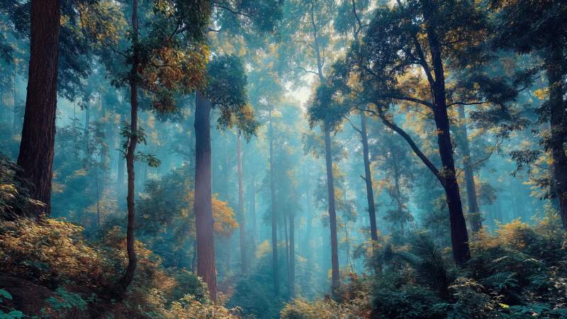 fantasy scenery wallpaper, ethereal color, sunbeams, background for desktop wallpaper (horizontal)