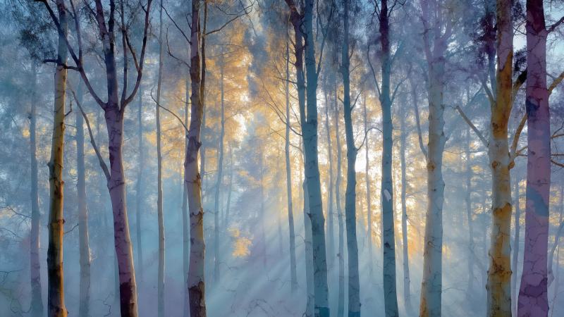 ethereal glow wallpaper, mystical woods, fairy forest, background for desktop wallpaper (horizontal)