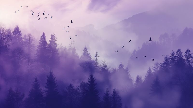 Yosemite wallpaper, forest, OSX, background for desktop wallpaper (horizontal)