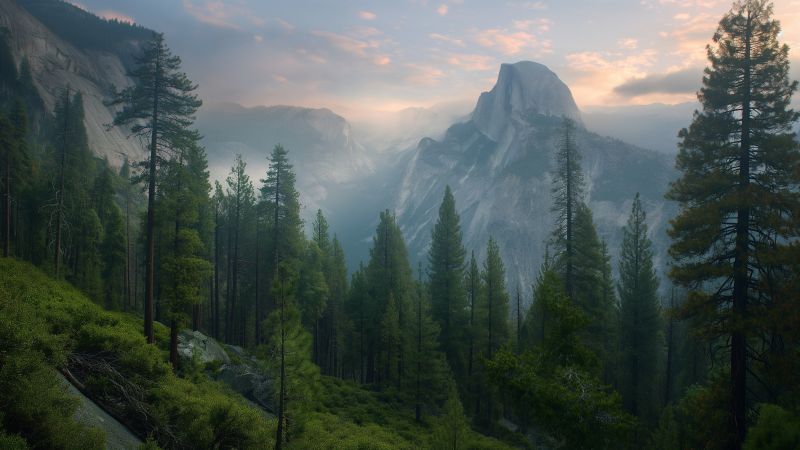 Yosemite wallpaper, forest landscape, OSX background, background for desktop wallpaper (horizontal)