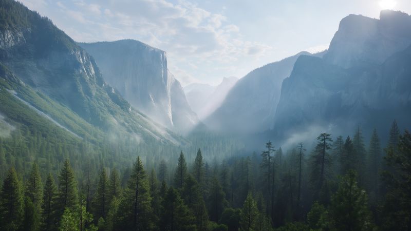 Yosemite wallpaper, forest, Apple, background for desktop wallpaper (horizontal)