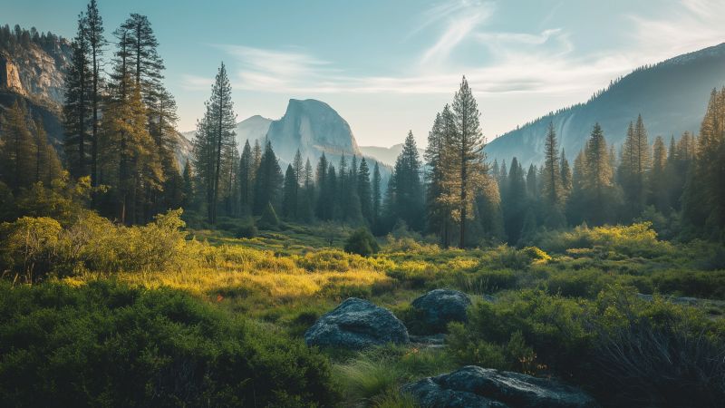 Yosemite wallpaper, forest, nature, background for desktop wallpaper (horizontal)