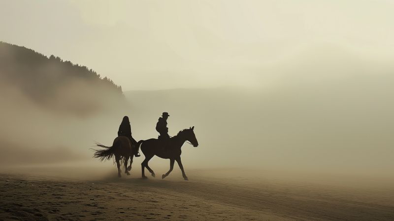 horse wallpaper, sky, sunset, background for desktop wallpaper (horizontal)