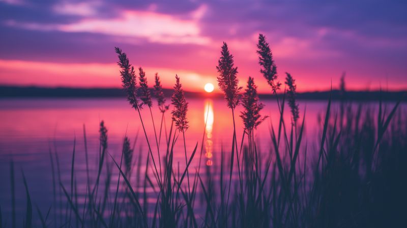Lake wallpaper, purple, tranquil, background for desktop wallpaper (horizontal)