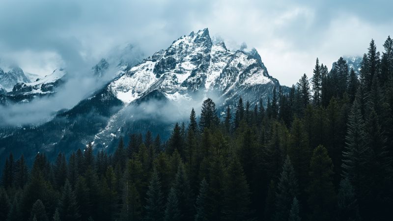 Mount Moran wallpaper, USA, 4k wallpaper, background for desktop wallpaper (horizontal)