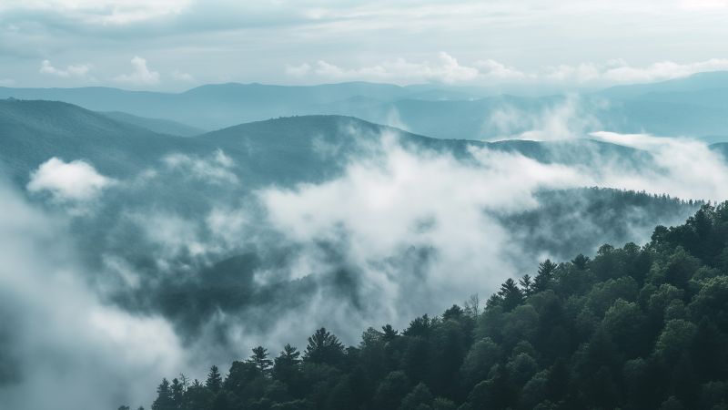 Appalachian wallpaper, forest, scenic, background for desktop wallpaper (horizontal)