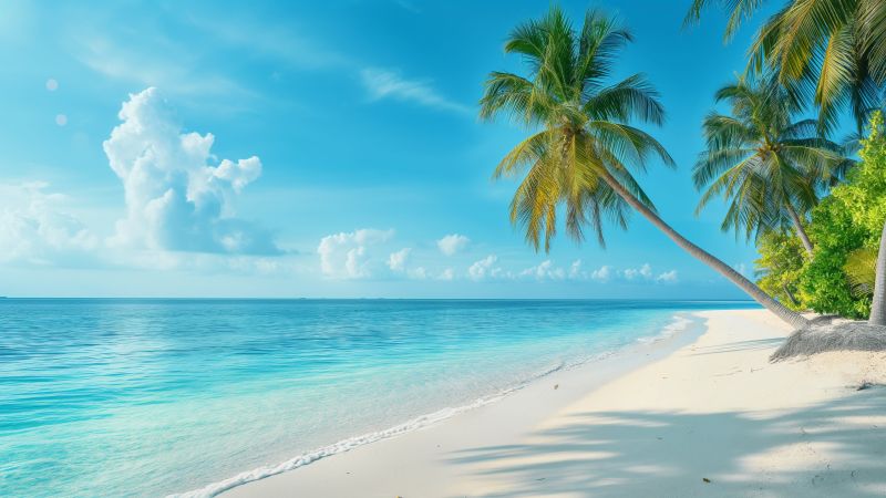 Maldives wallpaper, Indian Ocean, palm trees, background for desktop wallpaper (horizontal)
