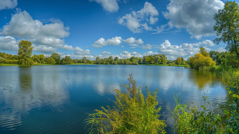 Meadows wallpaper, clouds, nature, background for desktop wallpaper (horizontal)