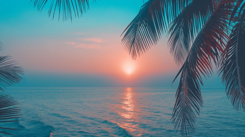 Thailand wallpaper, shore, tropical, background for desktop wallpaper (horizontal)