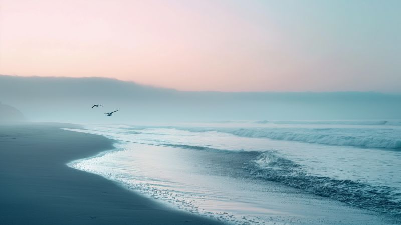 Ocean wallpaper, sunrise, sea, background for desktop wallpaper (horizontal)