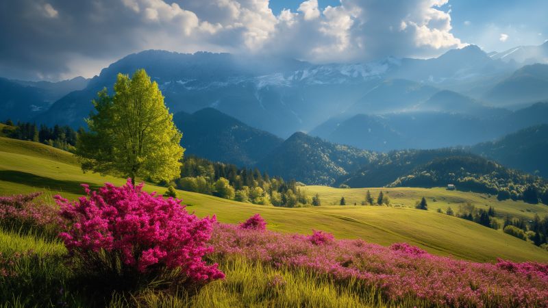 Slovenia wallpaper, Alps, scenic landscape, background for desktop wallpaper (horizontal)