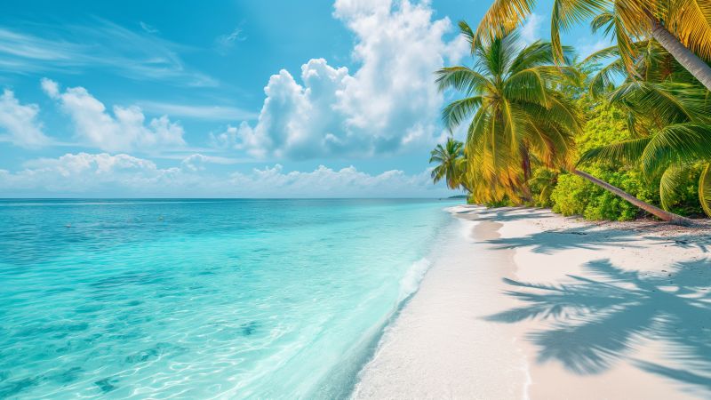 Maldives wallpaper, tropical paradise, Indian Ocean, background for desktop wallpaper (horizontal)