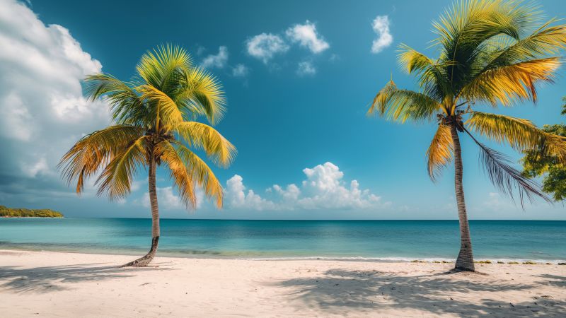 Jamaika wallpaper, beach, The Caribbean, background for desktop wallpaper (horizontal)