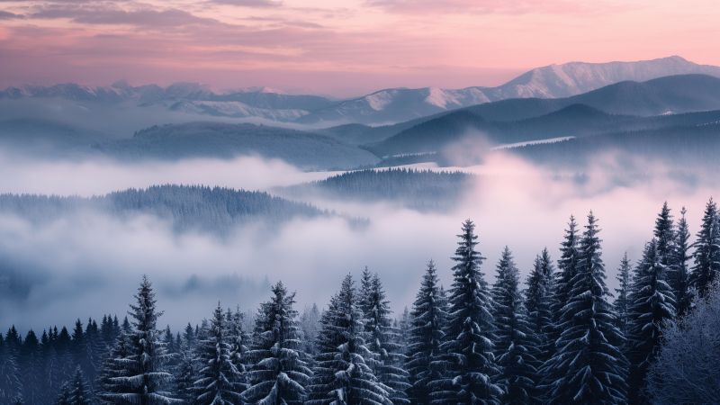 Slovakia wallpaper, fog, high resolution, background for desktop wallpaper (horizontal)