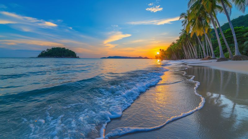 Thailand wallpaper, travel, palms, background for desktop wallpaper (horizontal)