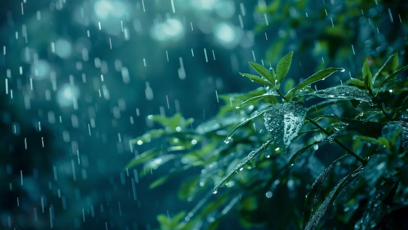 Rain wallpaper, light, 4k wallpaper, background for desktop wallpaper (horizontal)