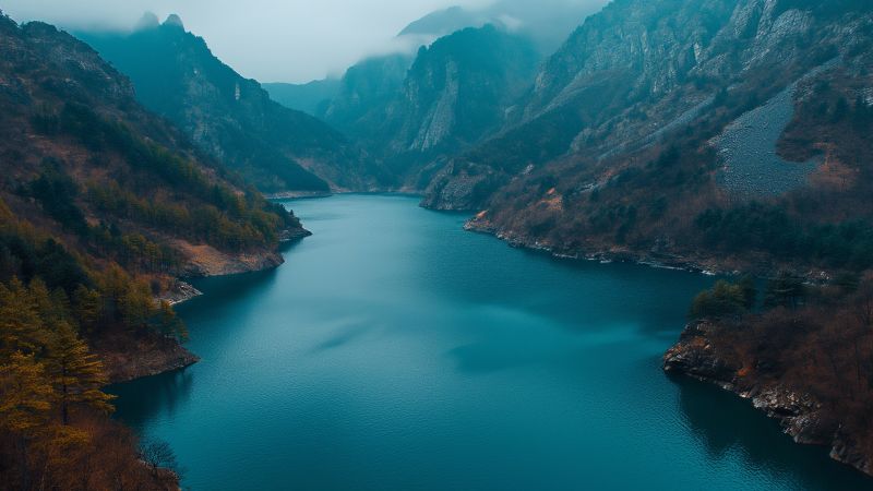 mountains wallpaper, forest, nature, background for desktop wallpaper (horizontal)