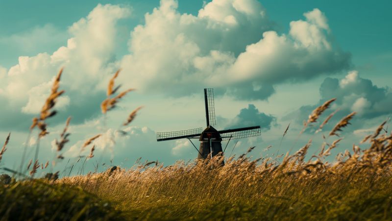 Holland wallpaper, windmill, grass, background for desktop wallpaper (horizontal)