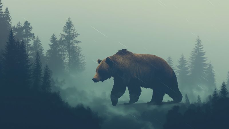 brown bear wallpaper, step, walk, background for desktop wallpaper (horizontal)