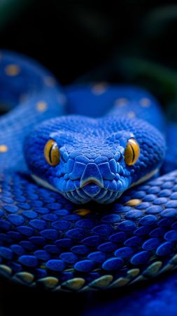 snake wallpaper, azure, serpent, background for mobile wallpaper (vertical)