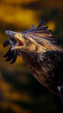 Eagle wallpaper, wildlife, nature, background for mobile wallpaper (vertical)