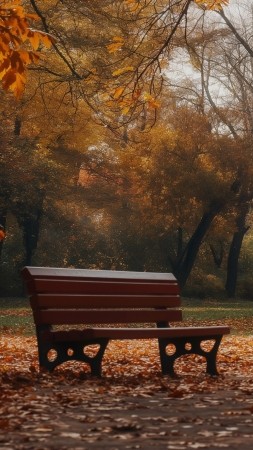 autumn park wallpaper, colorful leaves, fall foliage, background for mobile wallpaper (vertical)