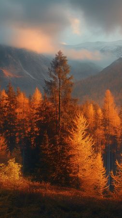 autumn wallpaper, trees, mount, background for mobile wallpaper (vertical)