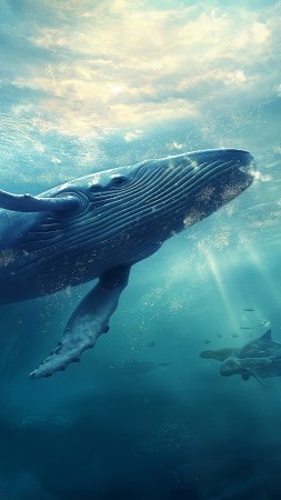 Whale wallpaper, ocean, water, background for mobile wallpaper (vertical)