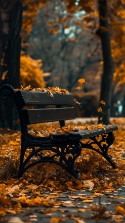 park wallpaper, autumn, nature, background for mobile wallpaper (vertical)