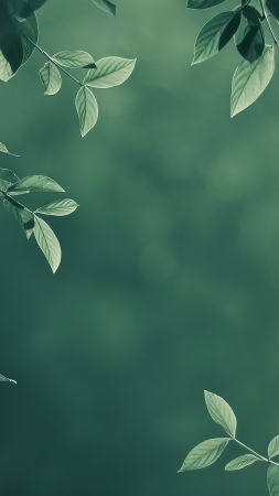 leaves wallpaper, nature, high resolution, background for mobile wallpaper (vertical)