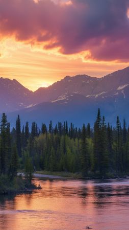 forest wallpaper, river, nature, background for mobile wallpaper (vertical)