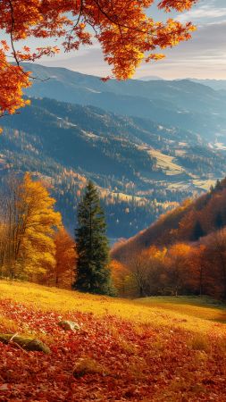 forest wallpaper, mountains, colorful foliage, background for mobile wallpaper (vertical)