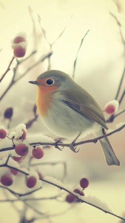 bird wallpaper, tranquil, peaceful, background for mobile wallpaper (vertical)