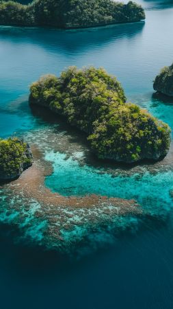 Palau wallpaper, ocean view, marine life, background for mobile wallpaper (vertical)