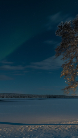 Lapland wallpaper, winter, Finland, background for mobile wallpaper (vertical)