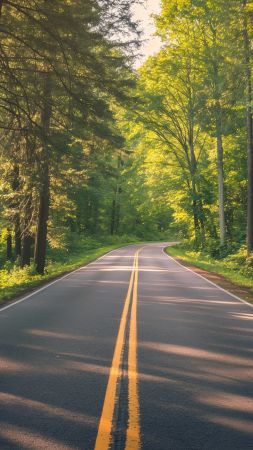 road wallpaper, greenery, pathway, background for mobile wallpaper (vertical)