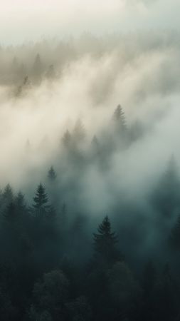 Fog wallpaper, High resolution, Serene, background for mobile wallpaper (vertical)