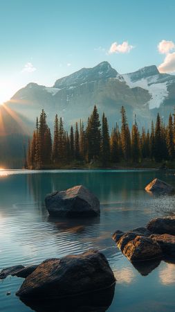 Yosemite wallpaper, mountains, forest, background for mobile wallpaper (vertical)