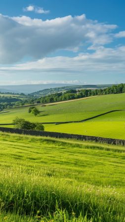 Wensleydale wallpaper, North Yorkshire, hiking, background for mobile wallpaper (vertical)