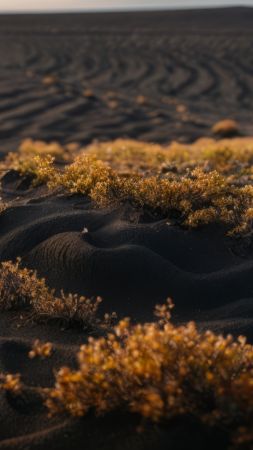 sand wallpaper, arid, golden hour, background for mobile wallpaper (vertical)