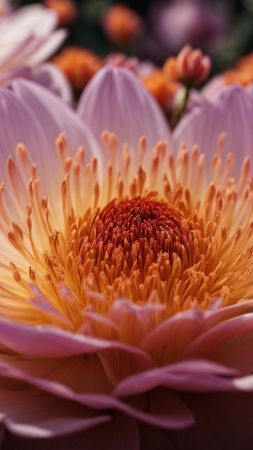 flowers wallpaper, yellow, blooms, background for mobile wallpaper (vertical)