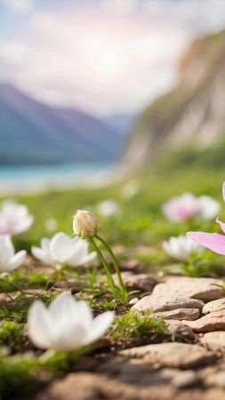 flowers wallpaper, peaks, stream, background for mobile wallpaper (vertical)