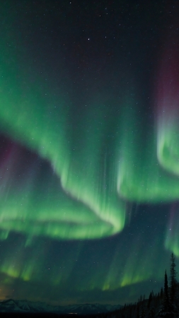 northern lights wallpaper, winter wonderland, celestial display, background for mobile wallpaper (vertical)
