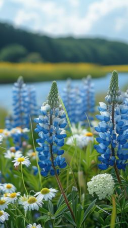 flowers wallpaper, azure, petals, background for mobile wallpaper (vertical)