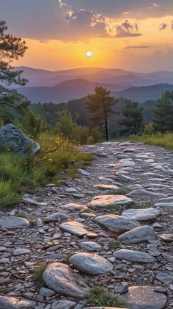 forest wallpaper, sunset, nature, background for mobile wallpaper (vertical)